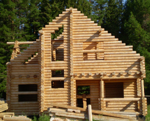 Выбор материала для строительства деревянного дома